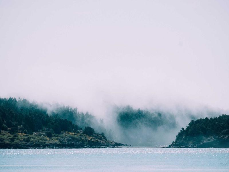 sudoku coloring method screenshot 5