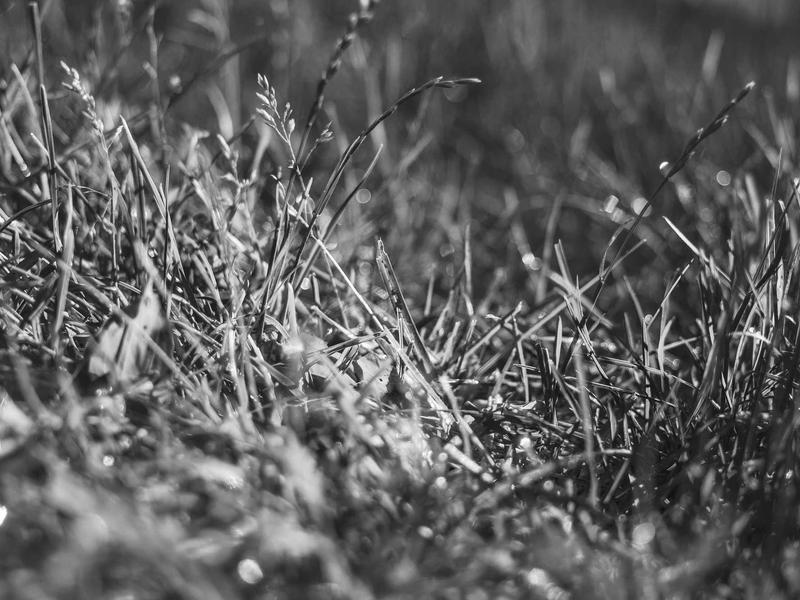 sudoku game no download screenshot 6